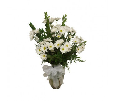 White Daisy arrangement